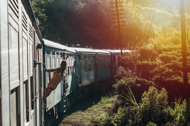 istock Tourist in Sri Lanka riding train 1264092240
