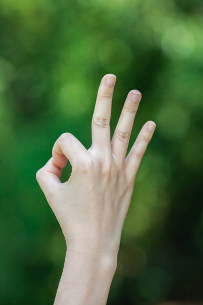 istock OK Sign on Natural Background 1264092634