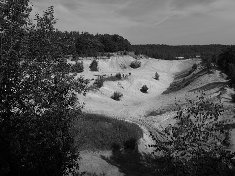 Sand quarry in forest