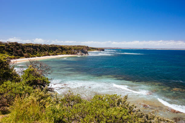 istock Eagles Nest Beach in Victoria Australia 1264096941