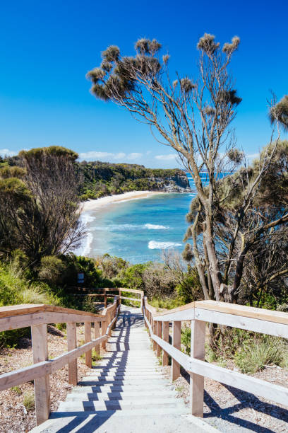 istock Eagles Nest Beach in Victoria Australia 1264096943