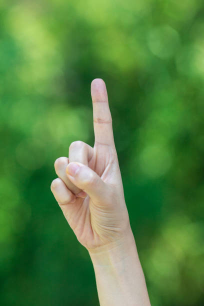 istock number one finger sign in Natural Background 1264097870