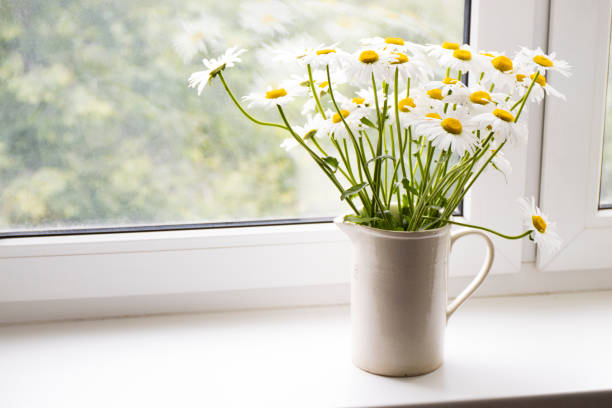 Bouquet of delicate flowers with copy space for message for Mother's Day