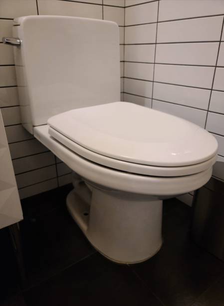 istock a toilet set up in the bathroom 1264101381