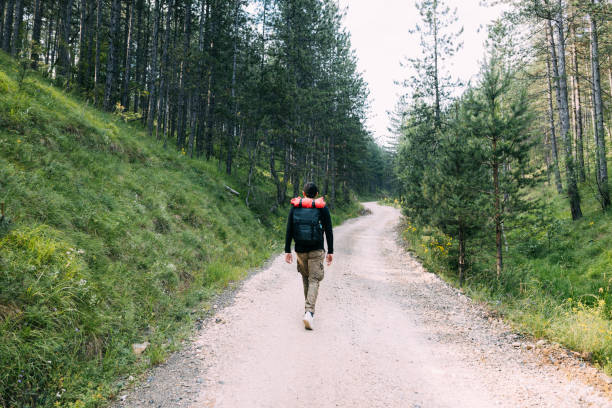 istock Young male nature explorer walking on the dirt road through the forest 1264102790