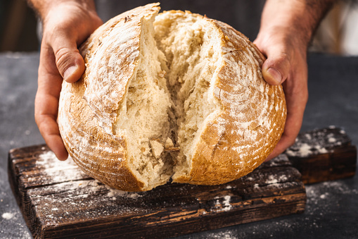 Male baker breaks freshly baked loaf of bread