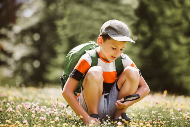 istock Young boy exploring nature in a meadow with a magnifying glass 1264103863
