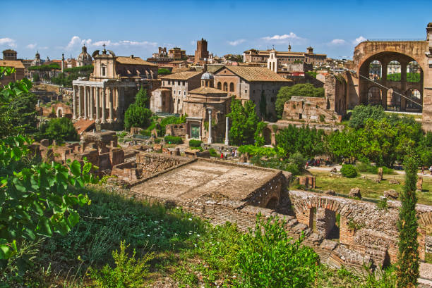 veduta aerea del foro romano dal palatino - high angle view famous place roman roman forum foto e immagini stock