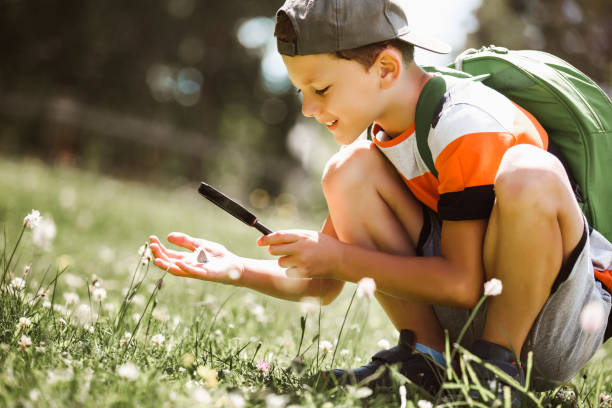 istock Young boy exploring nature in a meadow with a magnifying glass 1264104368