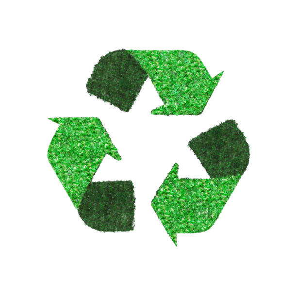 Recycling circle made of green tree leaves isolated on white background.