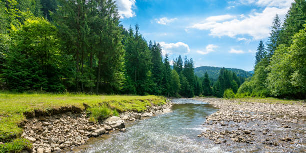 istock mountain river among the forest in valley 1264108273