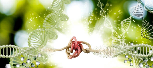 istock An image of a dna chain embedded with a tangled rope symbolizing a challenge 1264108365