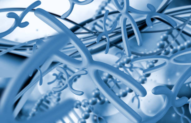 istock Image of stylized DNA chains and stylized chromosomes 1264108491