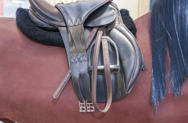 istock Saddle with stirrups on a back of a horse 1264110520