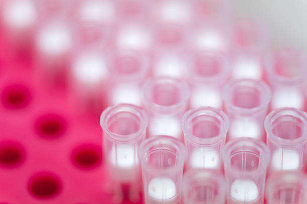 Closeup macro detail of multiple pipette tips with filters in a pink box, for use in medical and viral research, in a hospital laboratory. Healthcare and medicine.