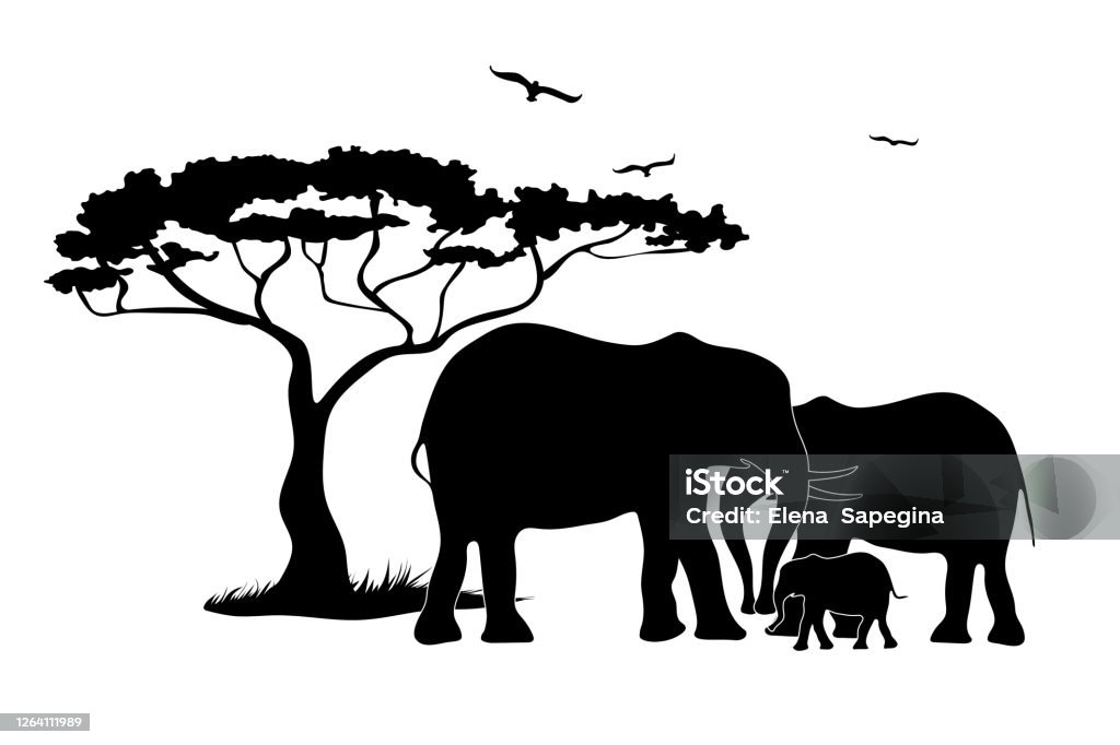 Family Of Elephants In Africa Black Silhouette Animals Tree Birds Wildlife Protection Concept Stock Illustration - Download Image Now - iStock Family Of Elephants In Africa Black Silhouette Animals Tree Birds Wildlife Protection Concept Stock Illustration - Download Image Now - iStock