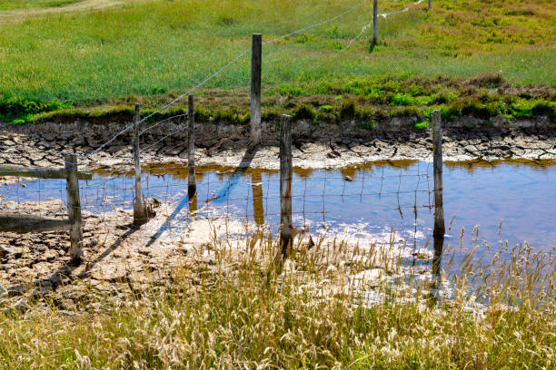 istock Cuckmere Haven, Sussex, UK 1264112289