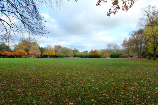 秋の自然、多色の木々と劇的な空の素晴らしい色 - november tranquil scene autumn leaf ストックフォトと画像