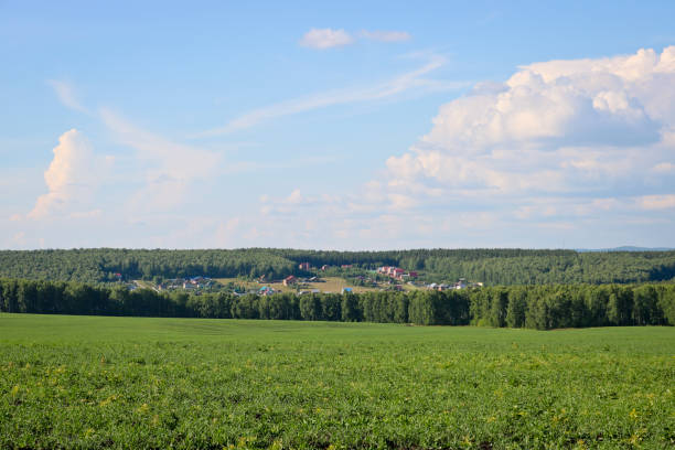 istock Summer landscape - countryside, green fields and blue sky with clouds. 1264114204