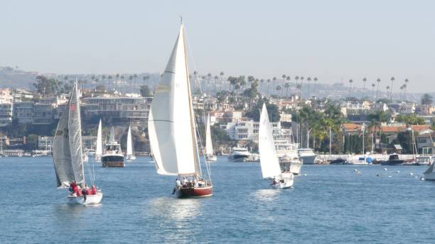 resort marina con yacht e barche a vela, costa del pacifico vicino a los angeles. regata di navi nautiche, barca a vela in porto. sobborgo di lusso nella contea di orange - california newport beach county orange foto e immagini stock