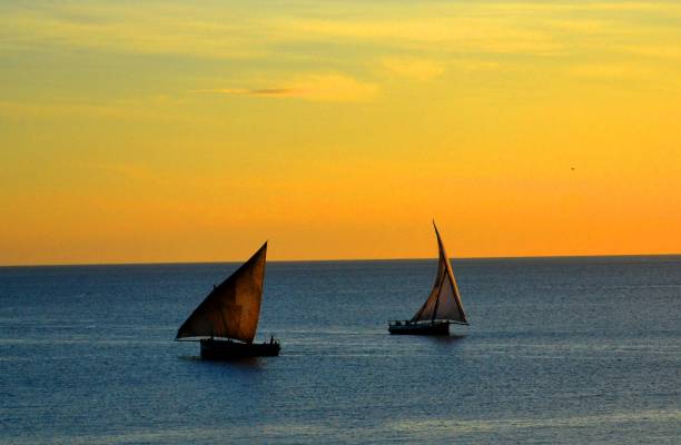 istock Sailing boats at sunset 1264115198