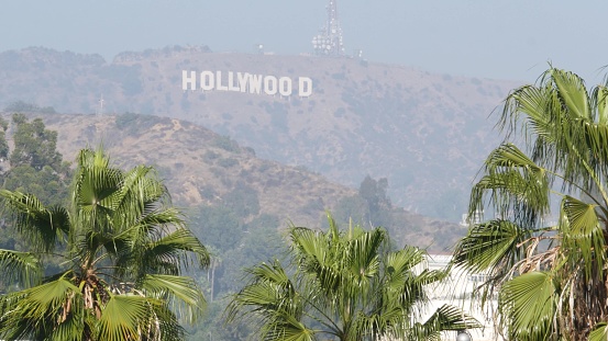 LOS ANGELES, CALIFORNIA, USA - 7 NOV 2019: Iconic Hollywood sign. Big letters on hills as symbol of cinema, movie studios and entertainment industry. Large text on mountain, view thru green leaves.