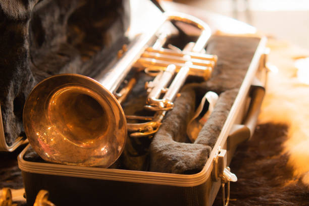 vecchia tromba dorata in una custodia di pelliccia nera da vicino bellissimo strumento sassofono vintage in scatola. - glass tube foto e immagini stock
