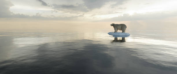 orso polare su filo interdentale. iceberg che si scioglie e riscaldamento globale. - polar bear arctic global warming ice foto e immagini stock