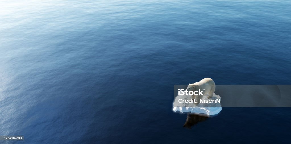 Polar bear on ice floe. Melting iceberg and global warming. Polar bear on ice floe. Melting iceberg and global warming. Climate change Climate Change Stock Photo