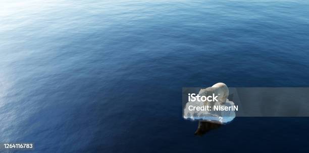 Polar Bear On Ice Floe Melting Iceberg And Global Warming Stock Photo - Download Image Now