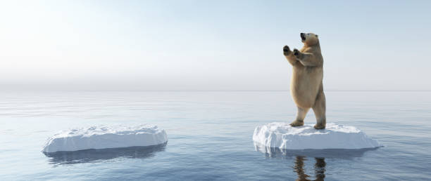 orso polare in piedi su filo interdentale. iceberg che si scioglie e riscaldamento globale. - polar bear arctic global warming ice foto e immagini stock