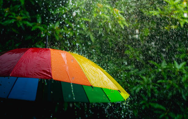 istock Rain drops falling on rainbow umbrella in the day with nature background 1264119176