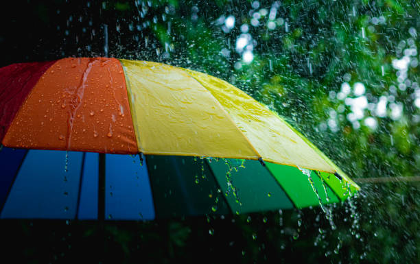 istock Rain drops falling on rainbow umbrella in the day with nature background 1264119190
