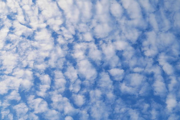 istock Natural clear blue sky with some clouds for background or backdrop freedom concept 1264121601