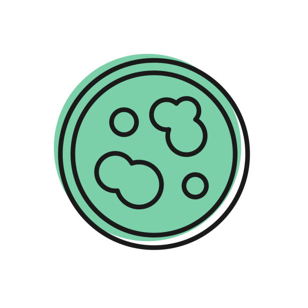 ilustrações, clipart, desenhos animados e ícones de placa petri linha preta com ícone de bactérias isolada em fundo branco. ilustração vetorial - petri dish bacterium cell virus