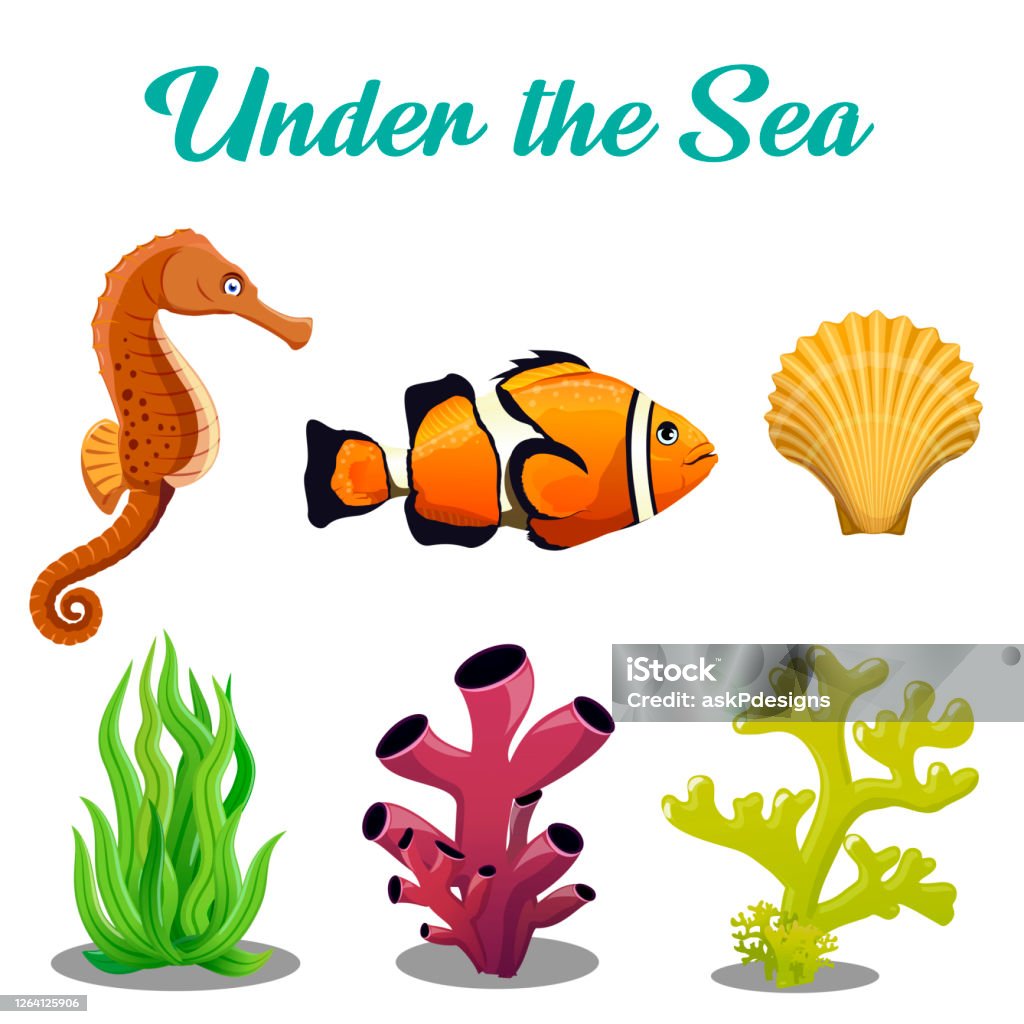 Vector Illustration Of Under Water Plants And Animals Stock Illustration -  Download Image Now - iStock