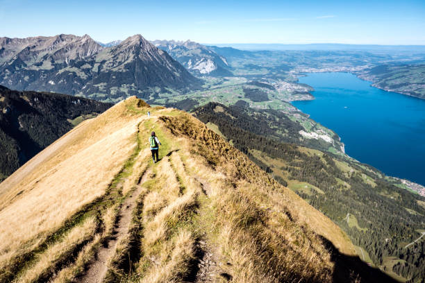 wanderin auf dem grat vom morgenberghorn richtung aeschi, thun, berner oberland, schweiz - bernese oberland thun oberland panoramic stock-fotos und bilder