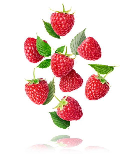 Fresh ripe raspberries, green leaves and flowers flying in the air isolated on white background. stock photo