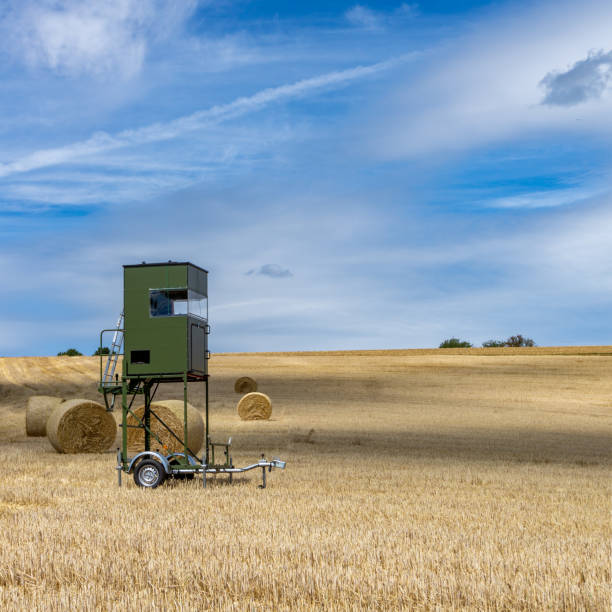 assento alto para trailer de caça estacionado em um campo de trigo dourado - high seat - fotografias e filmes do acervo