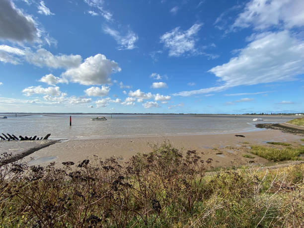 View of the Yarmouth with the broads National Park from the river bank arquitectura, fondo, cabañas de playa, hermoso, azul, cielo azul, brillante, verano británico, edificio, nubes, costa, costa, colorido, playa inglesa, europa, hierba, gran yarmouth, vacaciones, casa, cabaña, paisaje, no hay gente, mar del norte, mar del