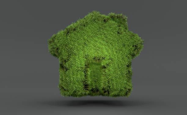 istock House symbol made of grass 1264131465