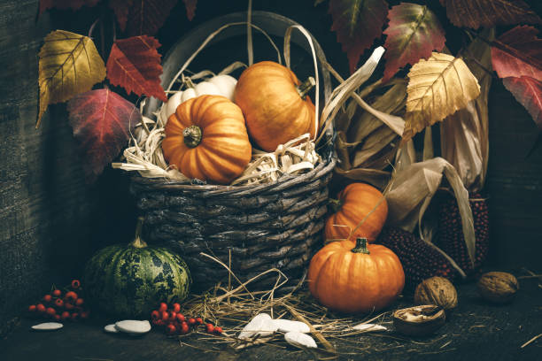 istock Autumn composition pumpkins and corn on old wooden table 1264136737