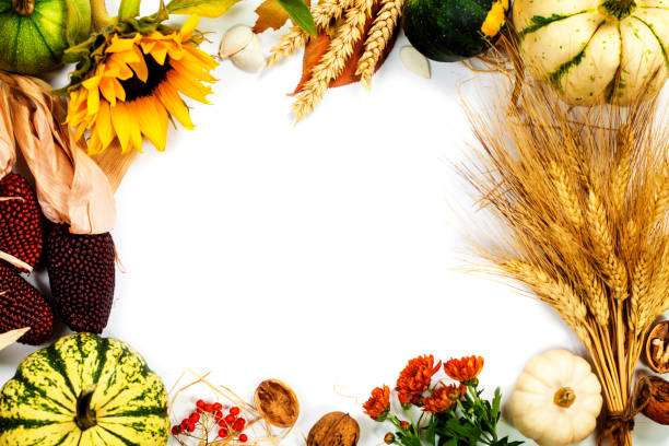 Autumn frame over white. Thanksgiving day, harvesting or autumn concept