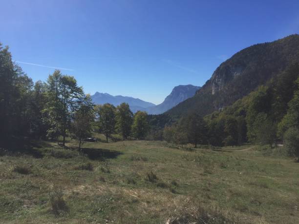 istock Near Malga Kraun 1264136783