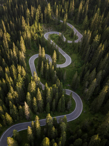 Aerial View of a road winding through a forest stock photo Aerial view of a road winding through a dense green forest dolomite photos stock pictures, royalty-free photos & images