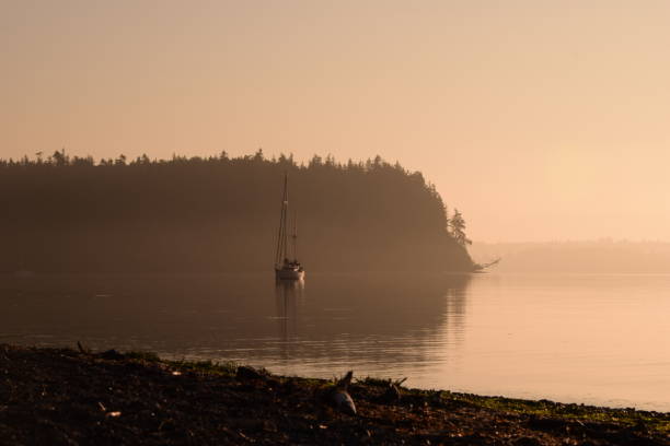 istock Sailboat Against Reflective Water During A Vivid Sunrise 1264140773