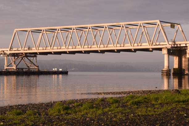 istock Low Angle View Of Large Bridge From The Shore During Sunrise 1264140862