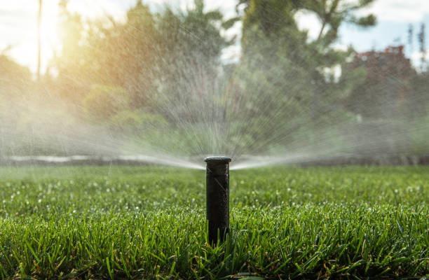 istock Automatic Backyard Garden Lawn Water Sprinkler 1264144628