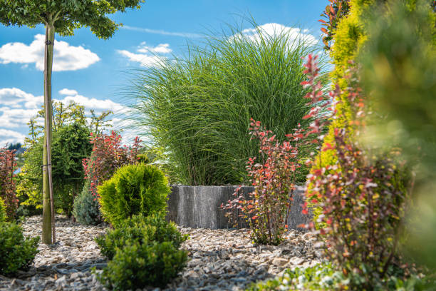 istock Beautiful Colorful Backyard Garden with Many Different Plants and Trees 1264145511