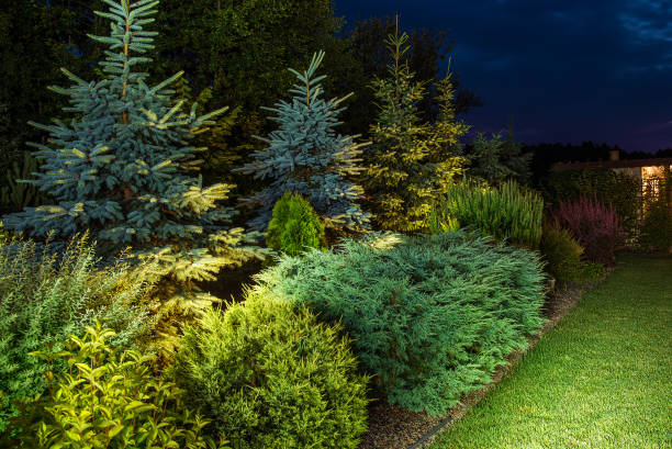 istock Colorful Illuminated Backyard Garden 1264145553